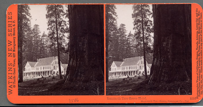Watkins #3500 - Mammoth Tree Grove Hotel, Mammoth Tree Grove, Calaveras Co., Cal.