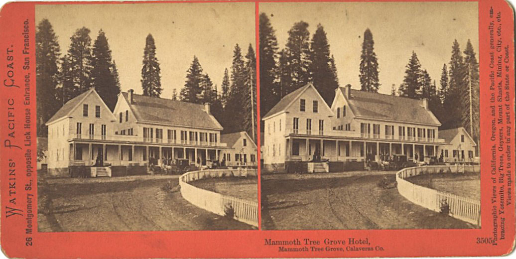 Watkins #3505 - Mammoth Tree Grove Hotel, Mammoth Tree Grove, Calaveras Co., Cal.
