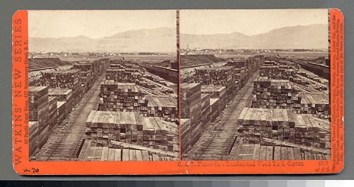 #4066 - C. & T. Flume Co.'s Lumber and Wood Yard, Carson, Nev.