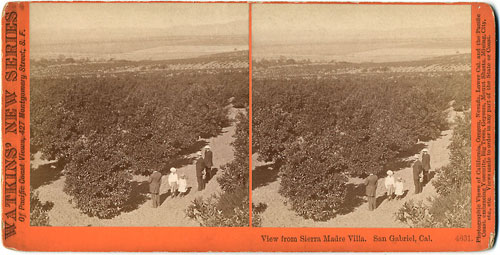 #4831 - View from Sierra Madre Villa, San Gabriel, Los Angeles Co., Cal.
