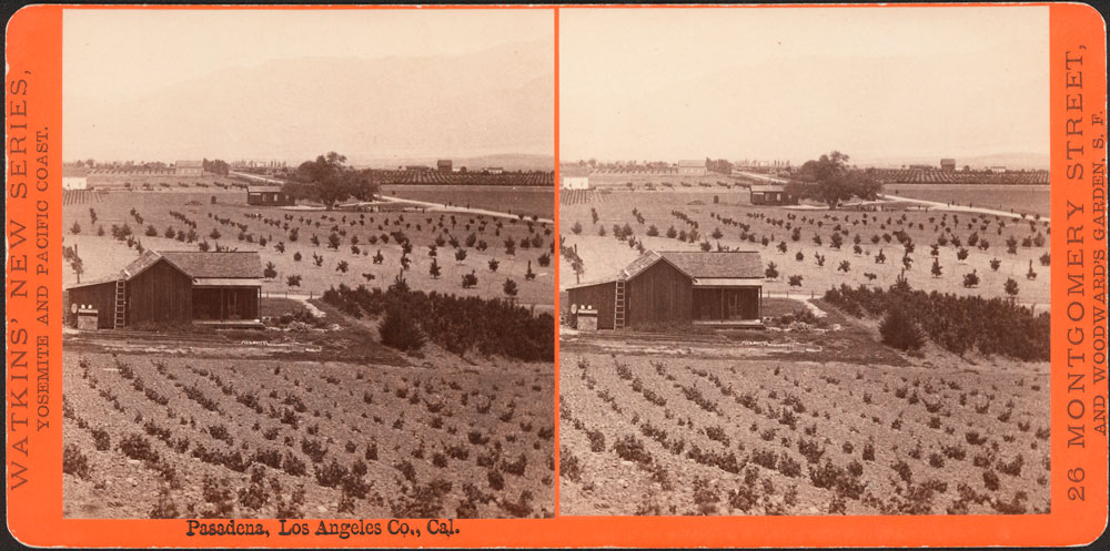 Watkins #4386 - Pasadena, Los Angeles Co., Cal.