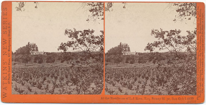 Watkins #4429 - At the Residence of L.J. Rose, Esq., Sunny Slope, San Gab'l., Cal.