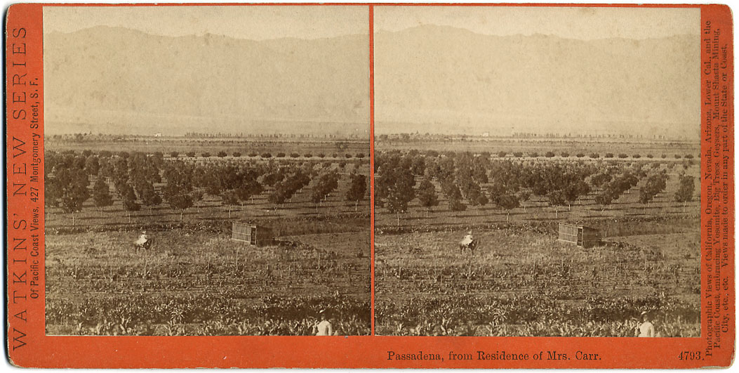 Watkins #4793 - Pasadena, from Residence of Mrs. Carr.