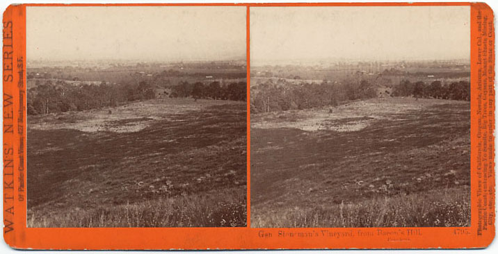 Watkins #4795 - Gen. Stoneman's Vineyard, from Bacon's Hill, Pasadena, Cal.