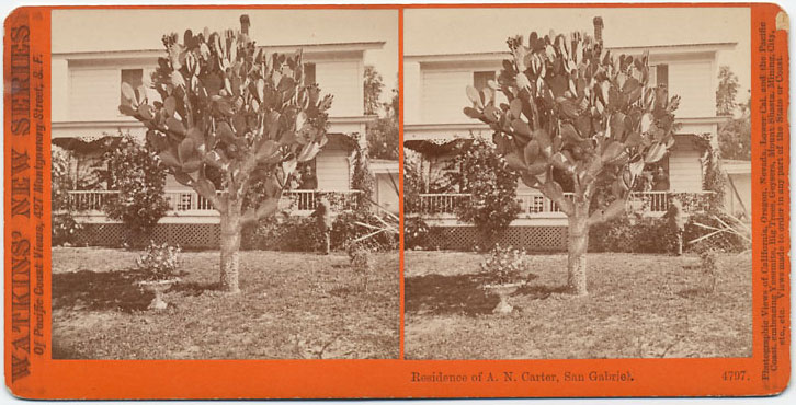 Watkins #4797 - Residence of A.N. Carter. San Gabriel, Cal.