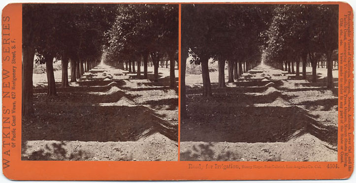 Watkins #4804 - Ready for Irrigation, Sunny Slope, San Gabriel, Los Angeles, Co., Cal.
