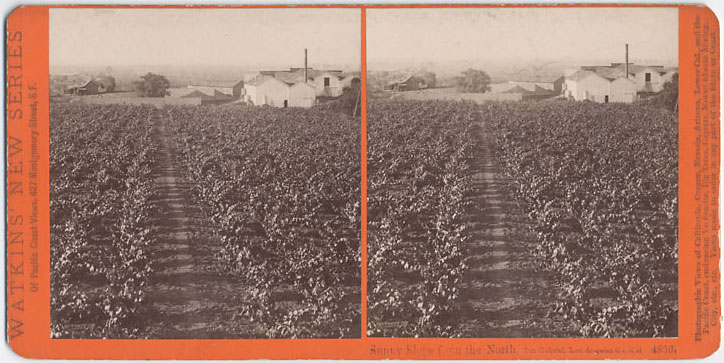 Watkins #4806 - Sunny Slope from the North, San Gabriel, Los Angeles Co., Cal.