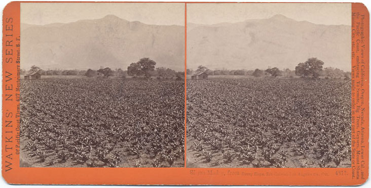 Watkins #4811 - Sierra Madre, from Sunny Slope, San Gabriel, Los Angeles Co., Cal.