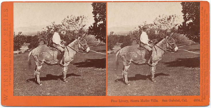 Watkins #4834 - Free Livery, Sierra Madre Villa, San Gabriel, Los Angeles Co., Cal.