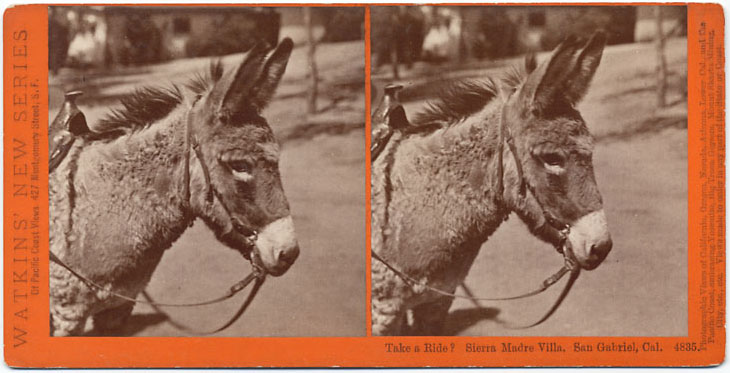Watkins #4835 - Take a Ride? Sierra Madre Villa, San Gabriel, Los Angeles Co., Cal.