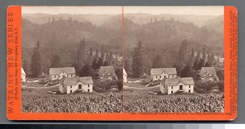 #5015 - Vineyard and residence of Mr. Mel, Vine Hill, Santa Cruz Co., Cal.