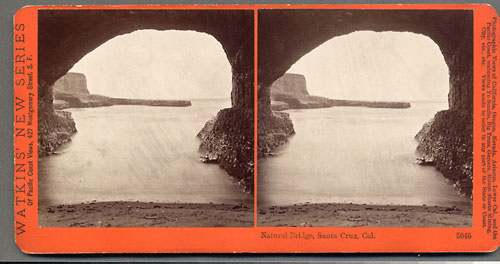 #5046 - Natural Bridge. Santa Cruz, Cal.
