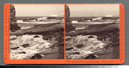 #5056 - Monument Point, near Natural Bridge, Santa Cruz, Cal.