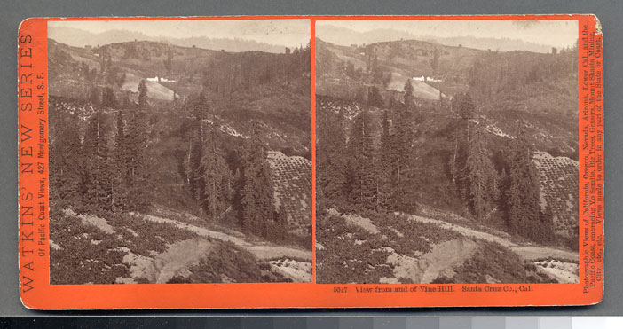 Watkins #5017 - View from and of Vine Hill, Santa Cruz Co., Cal.