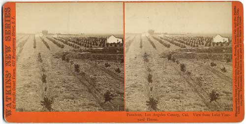 #4780 - Pasadena, Los Angeles County, Cal. View from Lake Vineyard House.