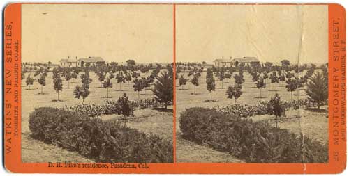 Unnumbered View - D.H. Pike's residence, Pasadena, Cal.