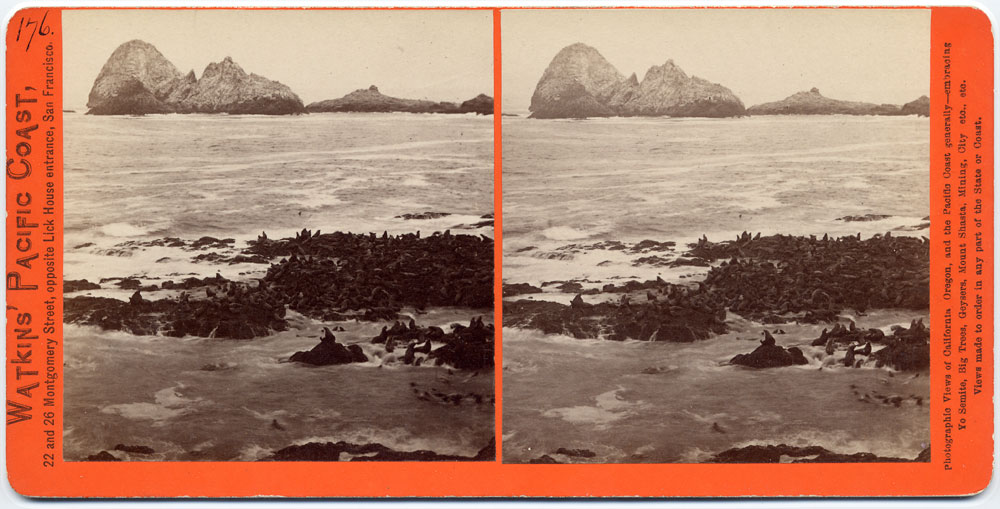 Watkins #2056 - Sea Lions, West End, Farallone Islands, P.O.