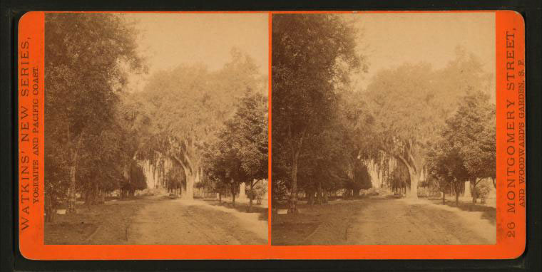 Watkins Unnumbered View - Untitled View