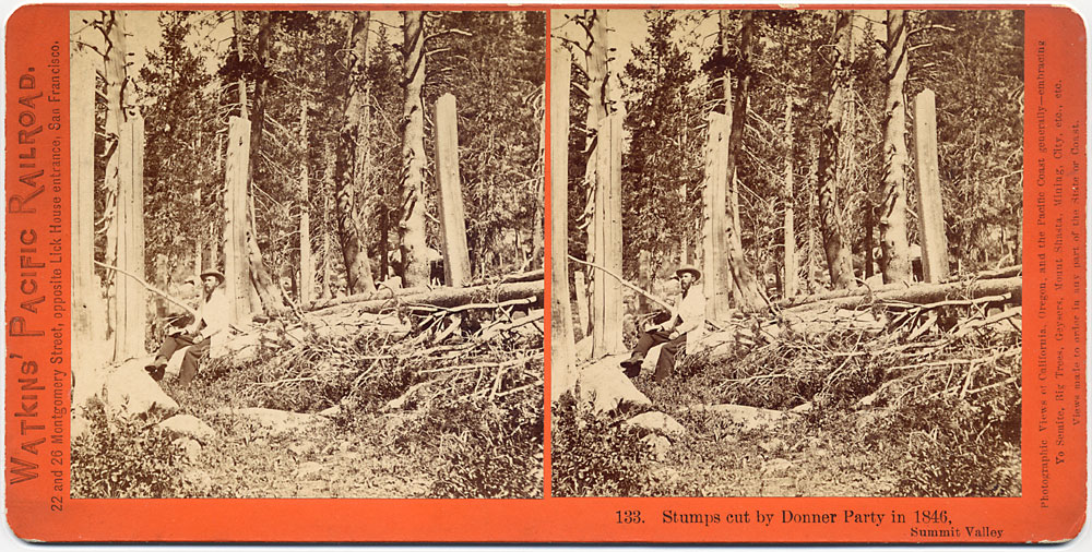 Watkins #133 - Stumps cut by Donner Party in 1846, Summit Valley