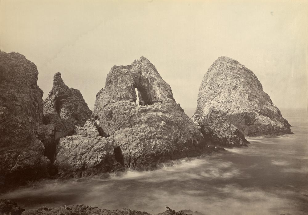 Watkins #560 - Sugar Loaf Island, Farallon Islands