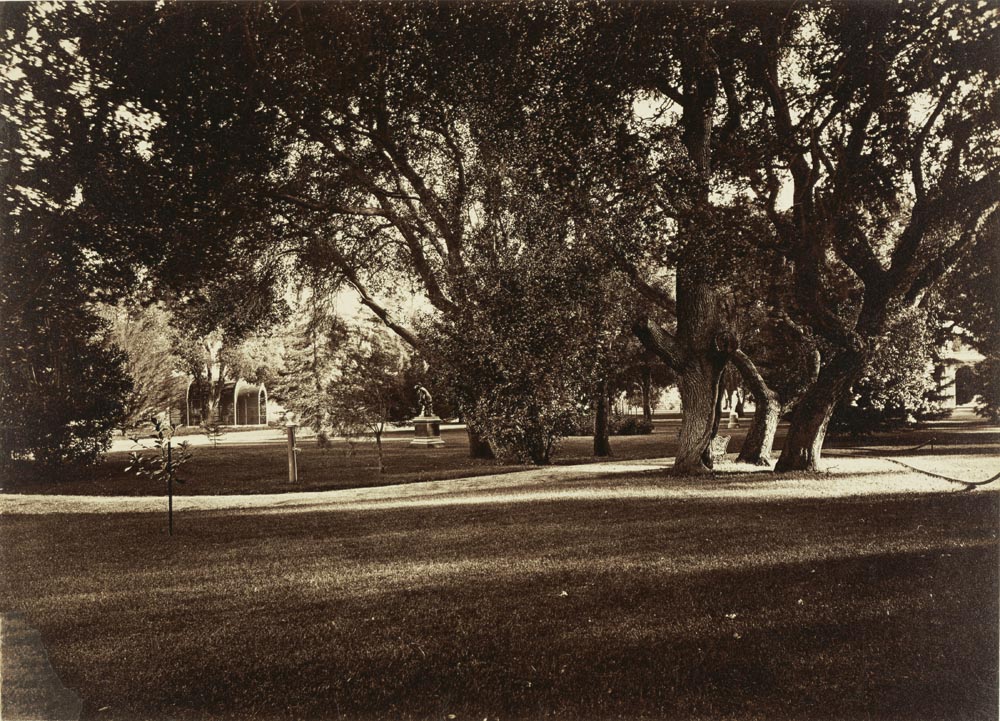 Watkins Unnumbered View - Lawn View, Thurlow Lodge, Milton Latham Residence, San Mateo County
