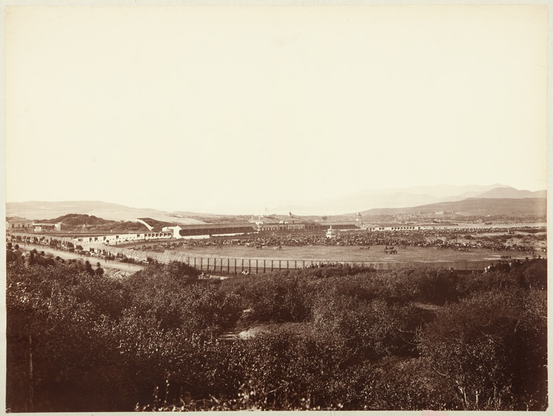 Watkins #653 - Bay District Fairgrounds, November 14, 1874, San Francisco