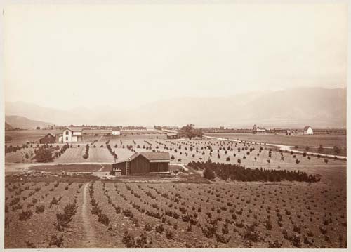 #1152 - Indiana Colony, Los Angeles County