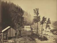 445 - Eagle Creek Lumber Mill and Tooth Bridge, Columbia River, Oregon