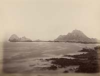 554 - Seal Point from the West End, Sugar Loaf Island, Farallon Islands
