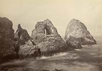 560 - Sugar Loaf Island, Farallon Islands