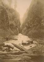 S-26 - Oneonta Gorge, Oregon.