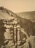 #1290 - Conglomerate Formations from the Amador Grade, Alpine County