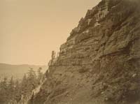 #1289 - Conglomerate Formations from the Amador Grade, Alpine County