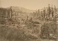 #1119 - Lake Mary, Summit Valley, Central Pacific Railroad, Placer County