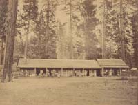 104 - Clarkâ€™s Station, Near View, Yosemite