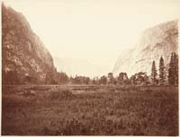 71 - View down Yosemite Valley, Meadow Scene