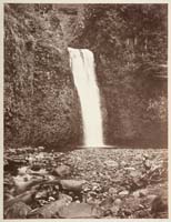 424 - Lower Multnomah Falls, Oregon
