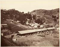 #140 - Metal Shed (Planella), New Almaden