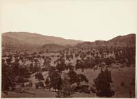 1132 - Side View of the Loop, Tehachapi Pass, Southern Pacific Railroad, Kern County