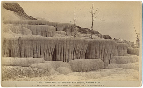 #D 236 - Pulpit Terraces, Mammoth Hot Springs, National Park.