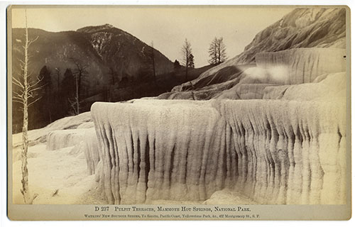 #D 237 - Pulpit Terraces, Mammoth Hot Springs, National Park.
