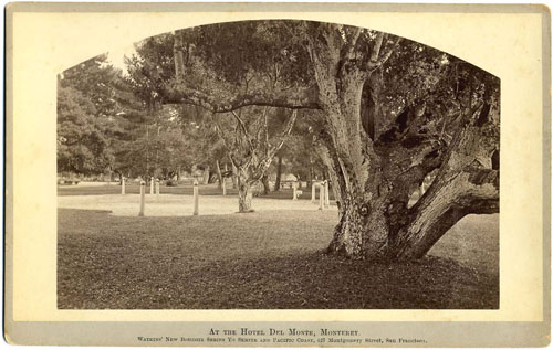 Unnumbered View - At the Del Monte Hotel Monterey.