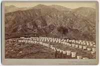 Unnumbered - Apiary at Sierra Madre Villa, San Gabriel, Cal.