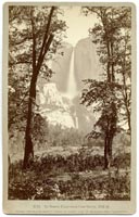 B 20 - Yo Semite Falls from Camp Grove, 2634 ft.
