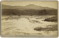 D 164 - The Rapids, Upper Cascades, Columbia River Scenery, Oregon.