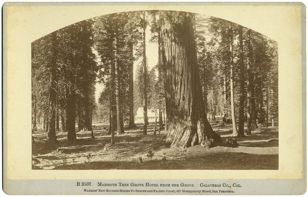 Watkins #B 3507 - Mammoth Tree Grove Hotel from the grove. Calaveras Co., Cal.