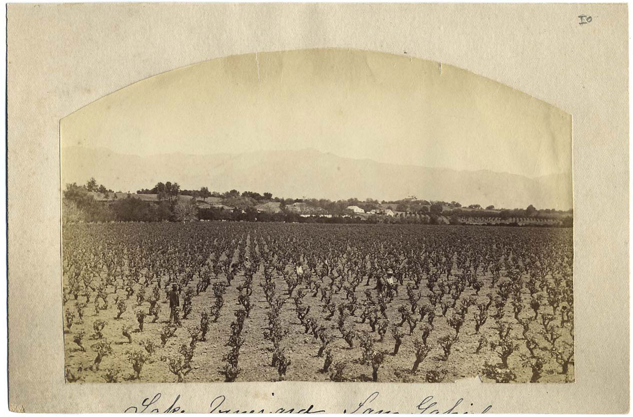 (Unnumbered) - Lake Vinyard, San Gabriel