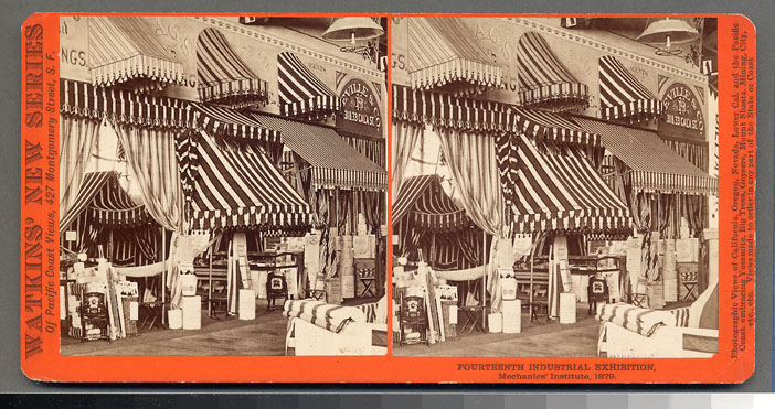 Unnumbered View - Fourteenth Industrial Exhibition, Mechanics' Institute, 1879