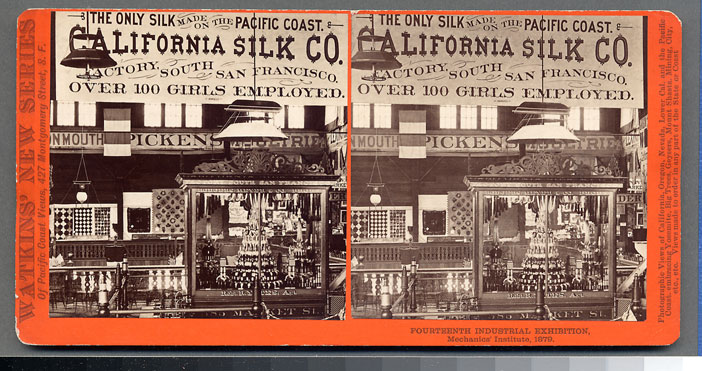 Watkins Unnumbered View - Fourteenth Industrial Exhibition, Mechanics' Institute, 1879