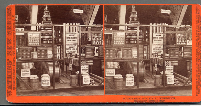 Unnumbered View - Fourteenth Industrial Exhibition, Mechanics' Institute, 1879